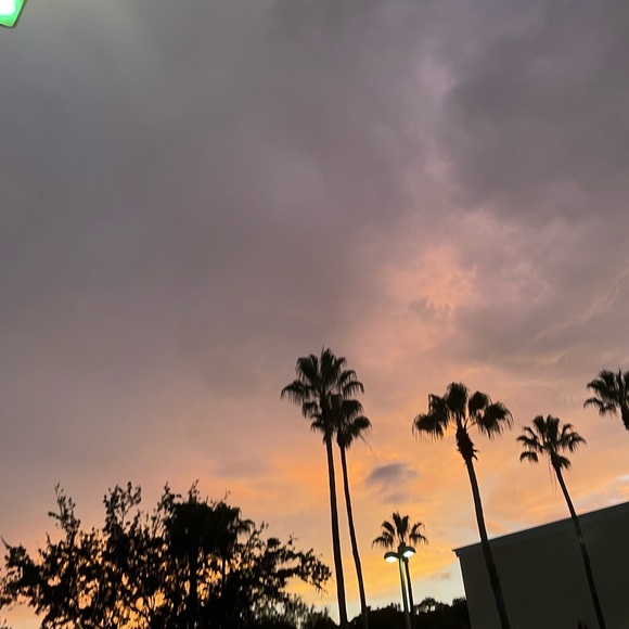 ✨New items sale ✨✨✨✨ - Picture 5 of 6